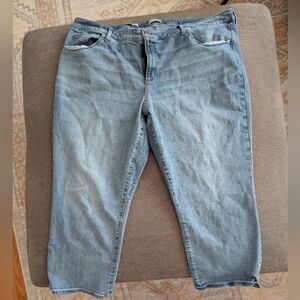 Universal Standard Slim Straight Ankle Jeans 26W